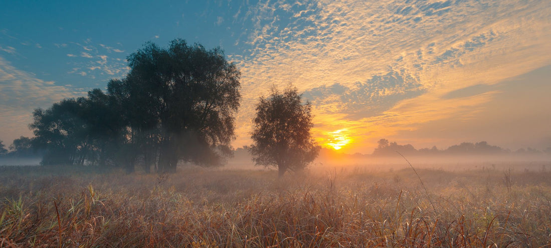 Embracing the September Shift: Candles to Ease into Fall
