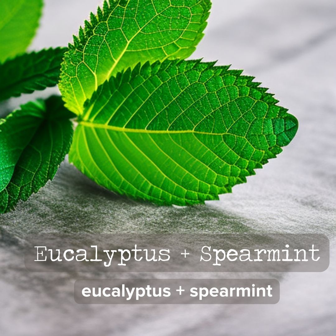 
                  
                    Eucalyptus + Spearmint Reed Diffuser
                  
                