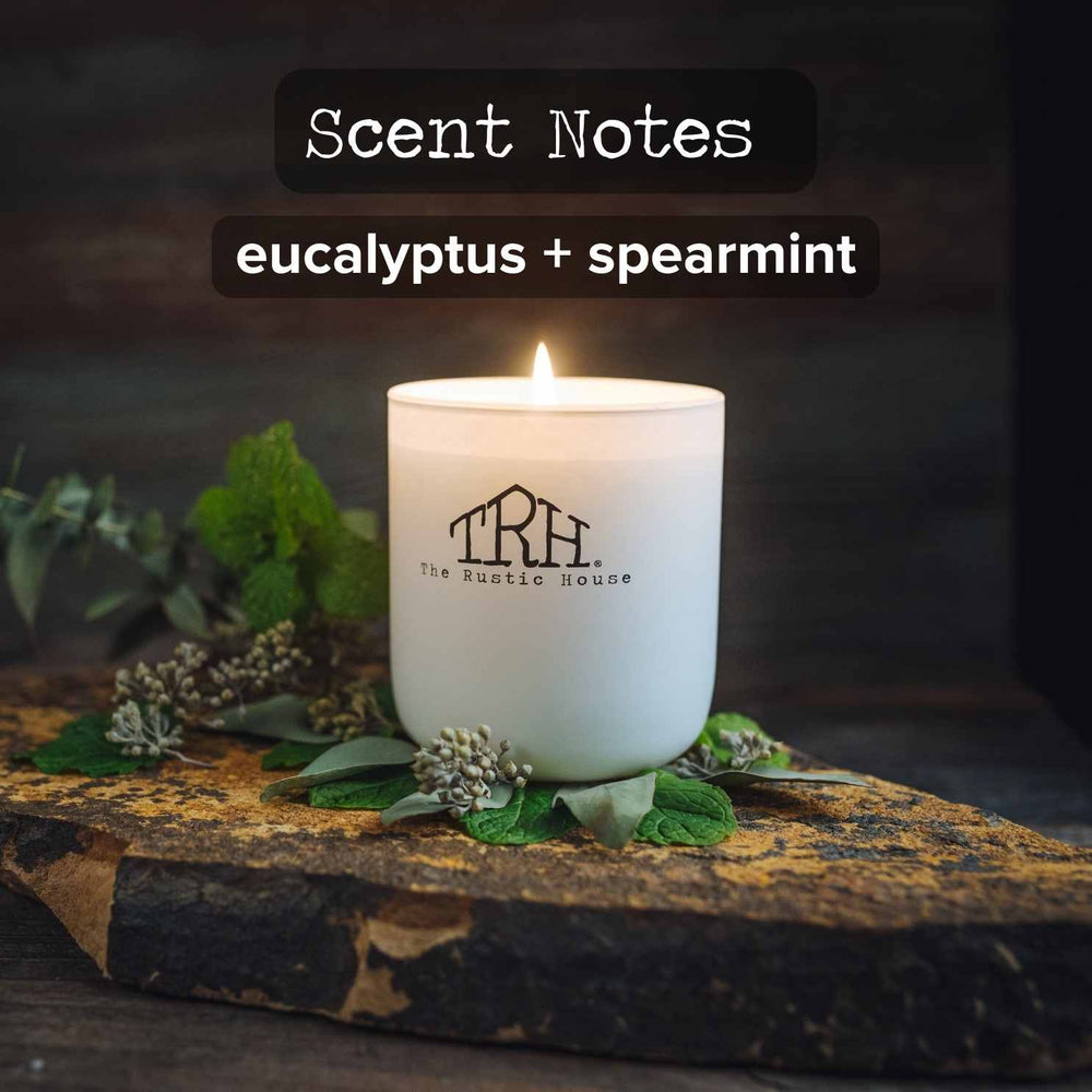 
                  
                    Eucalyptus + Spearmint Candle
                  
                