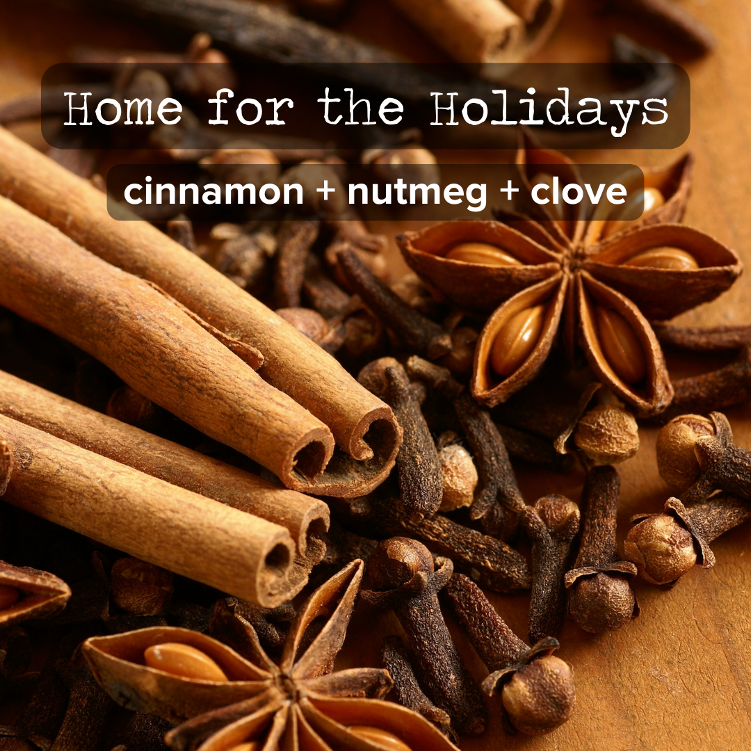 
                  
                    Home for the Holidays Reed Diffuser
                  
                