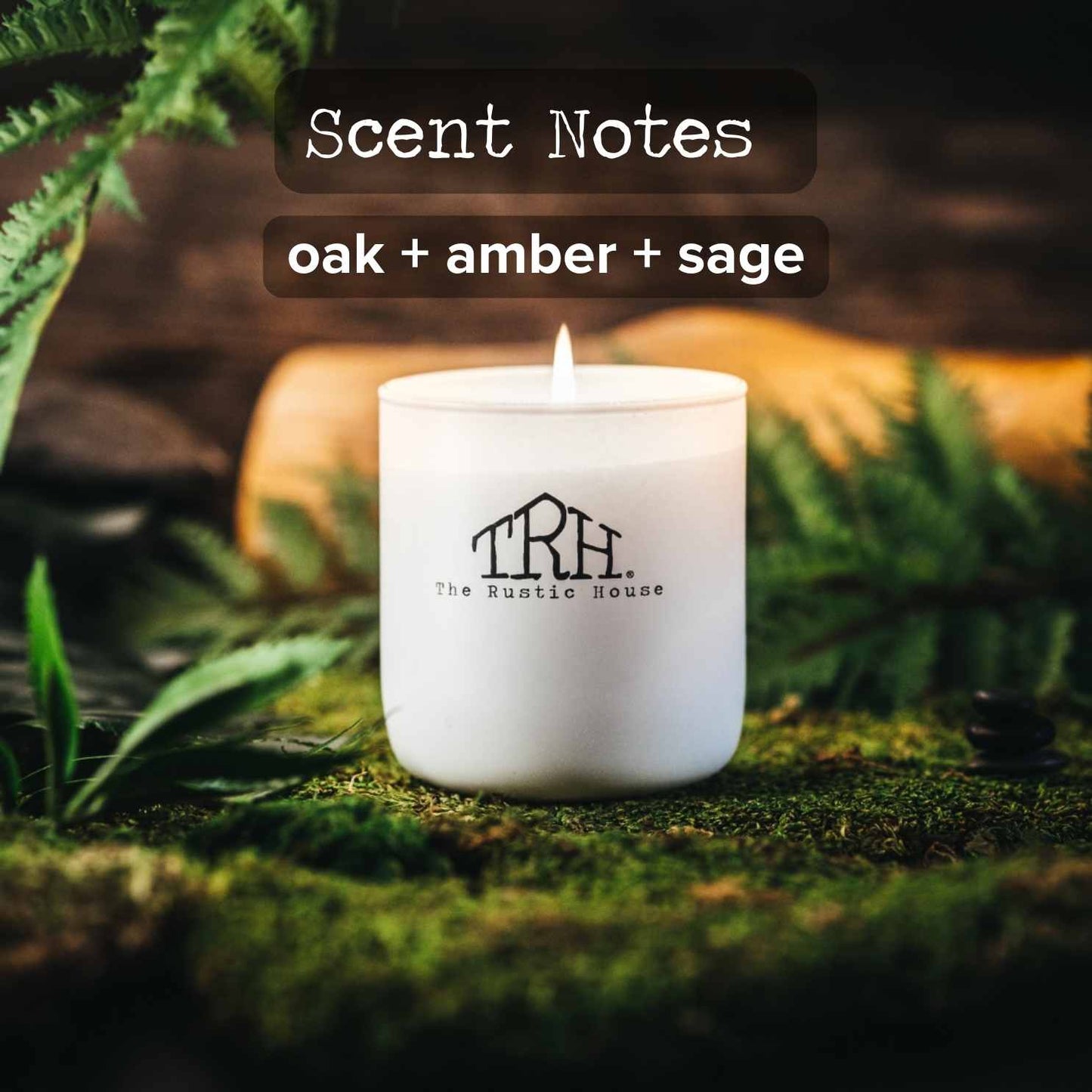 
                  
                    Oak + Moss Glass Candle
                  
                