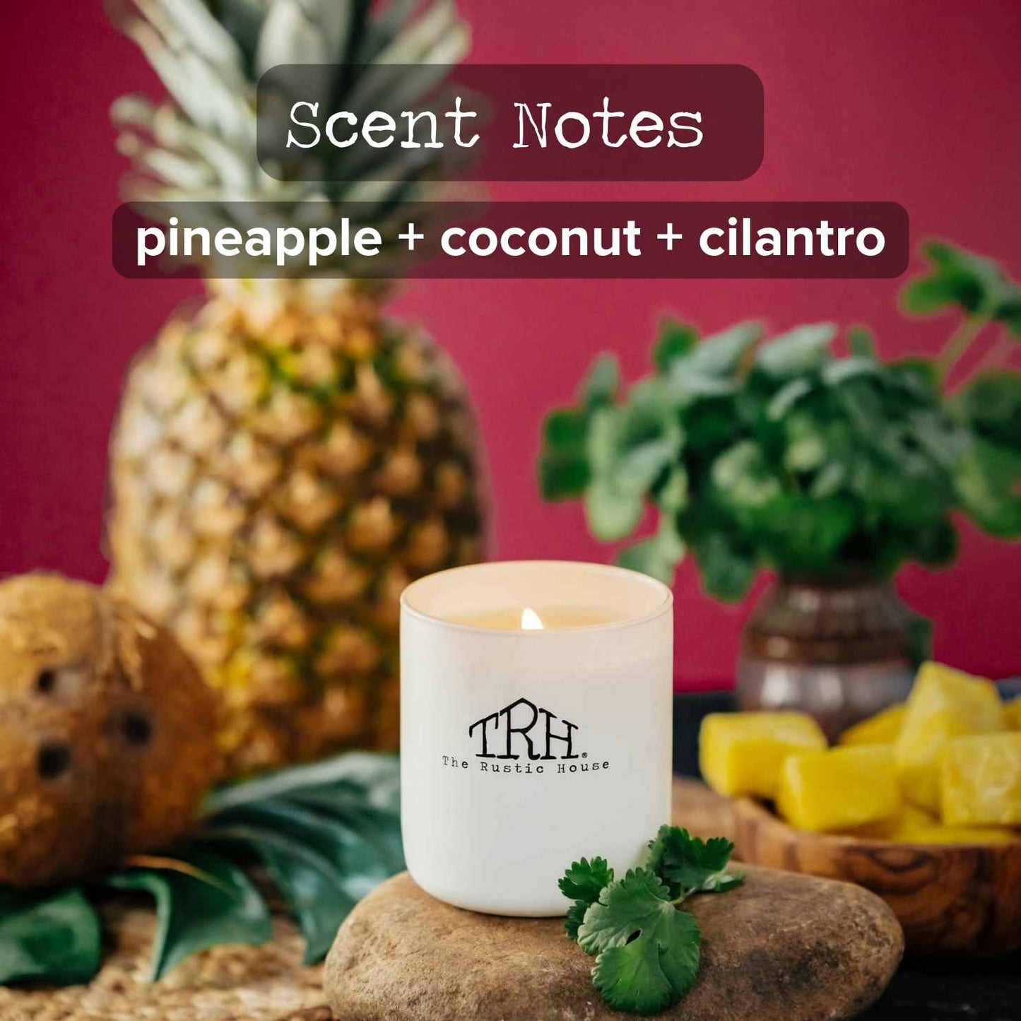 
                  
                    Pineapple + Cilantro Glass Candle
                  
                