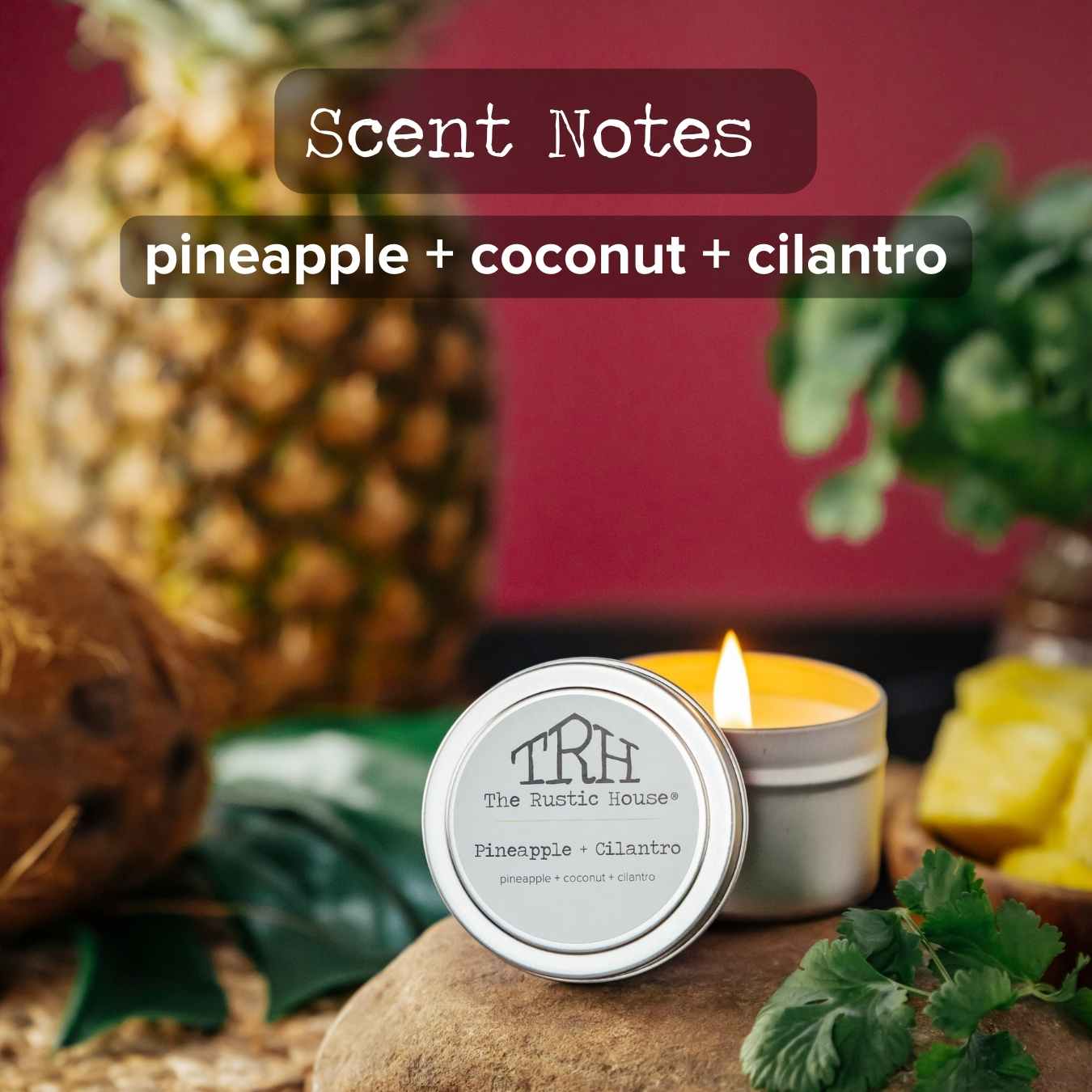 Pineapple + Cilantro Travel Tin