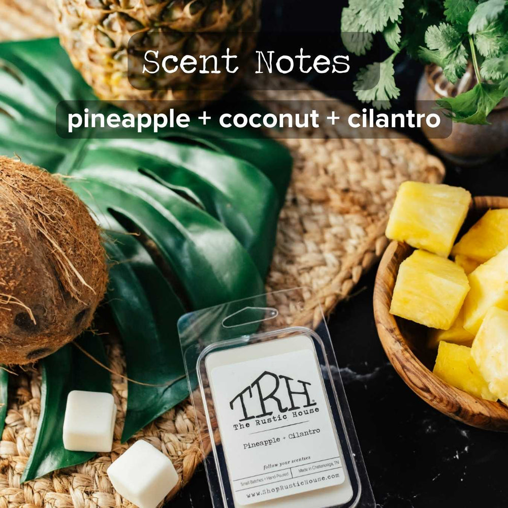
                  
                    Pineapple + Cilantro Wax Melt
                  
                