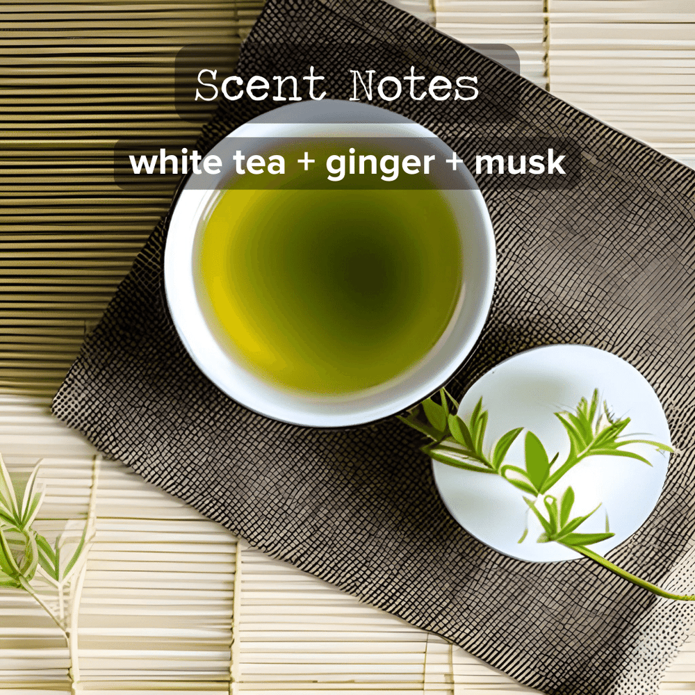 
                  
                    White Tea + Ginger Candle | Limited Edition
                  
                